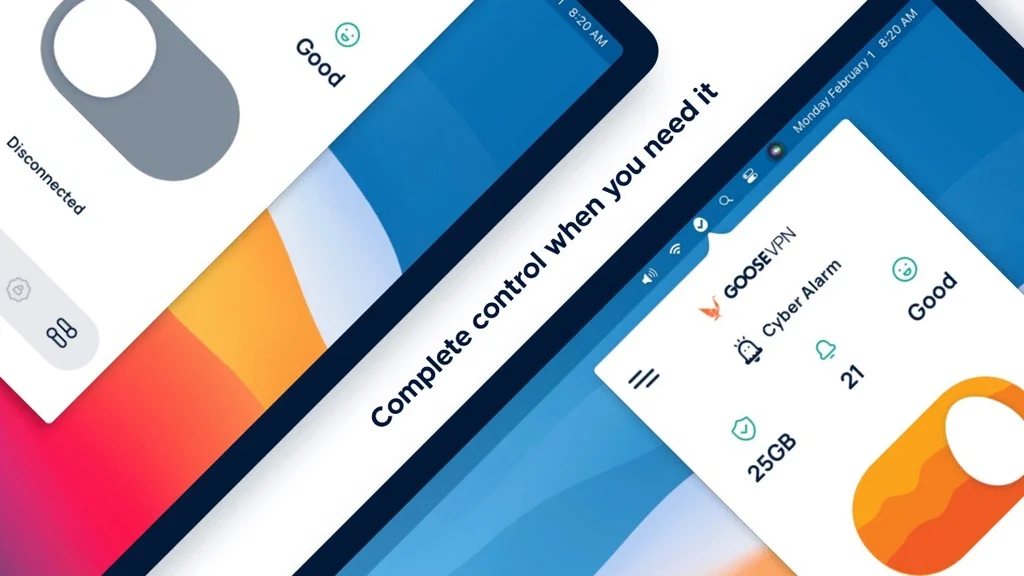 GOOSE VPN