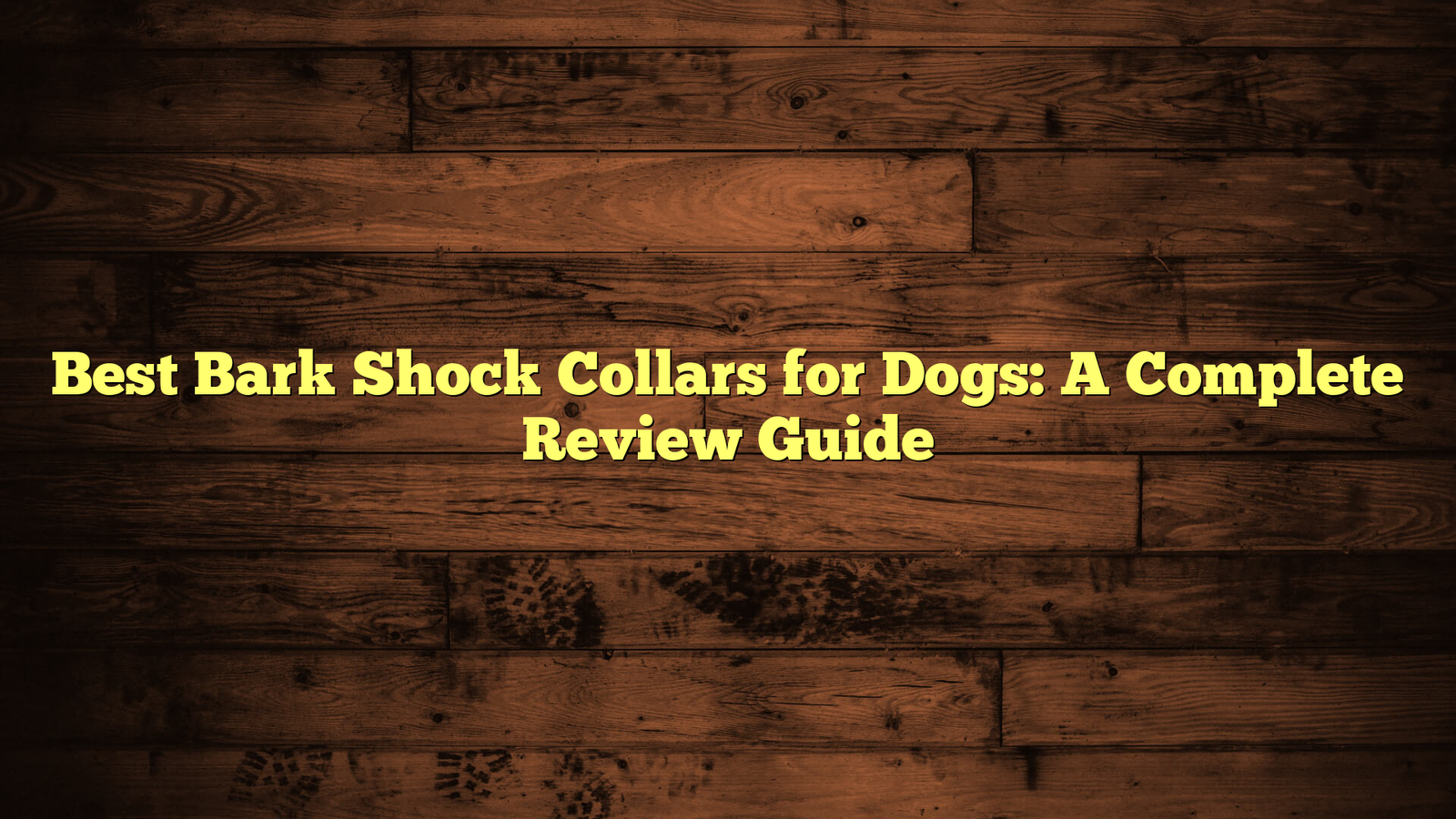 Best Bark Shock Collars for Dogs: A Complete Review Guide
