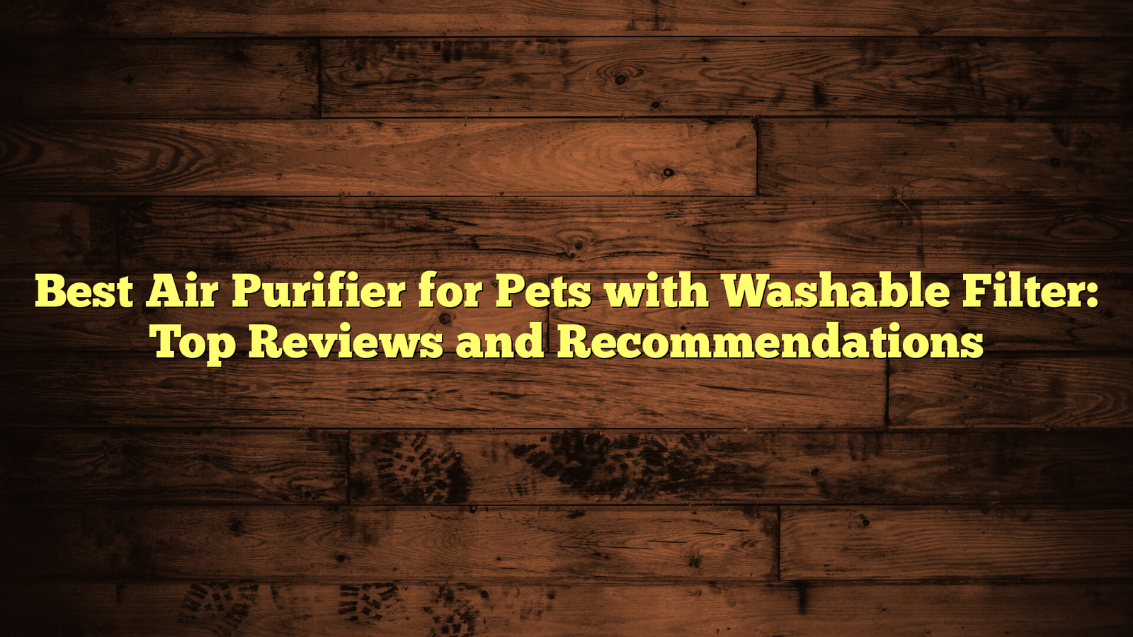 Best Air Purifier for Pets with Washable Filter: Top Reviews and Recommendations