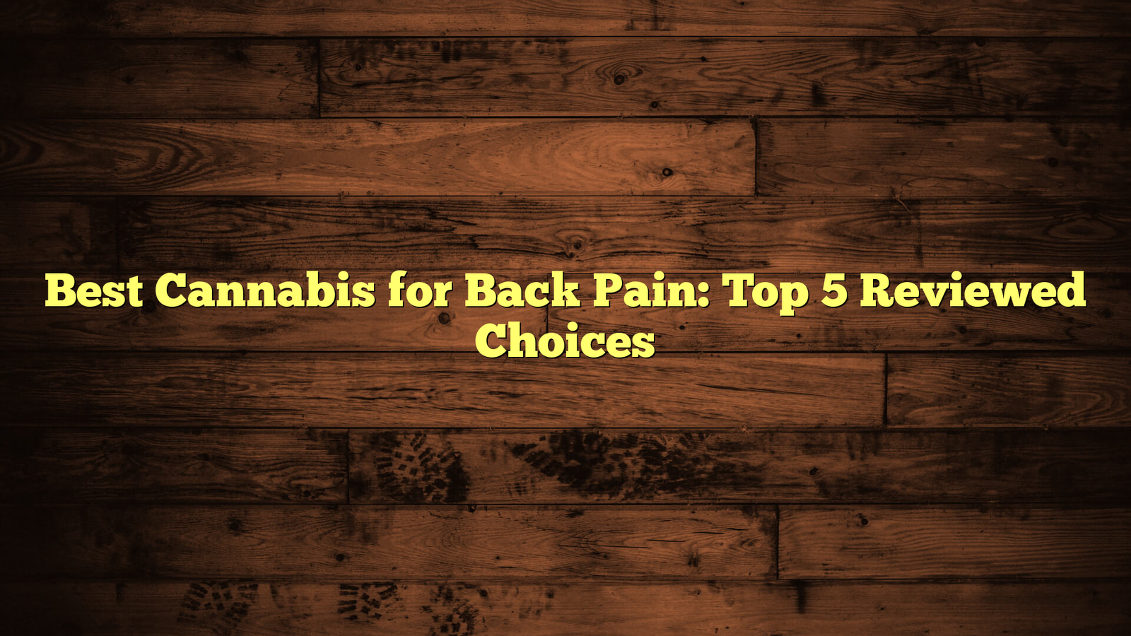 Best Cannabis for Back Pain: Top 5 Reviewed Choices