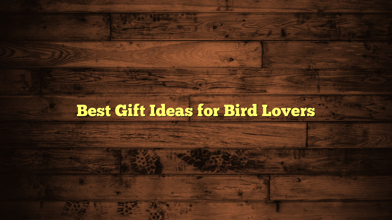 Best Gift Ideas for Bird Lovers