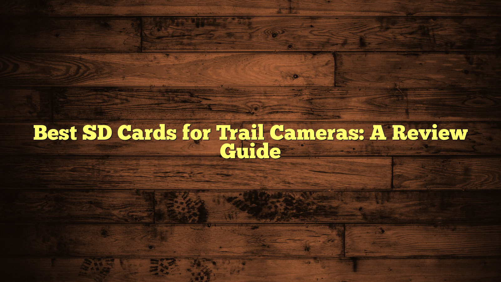 Best SD Cards for Trail Cameras: A Review Guide