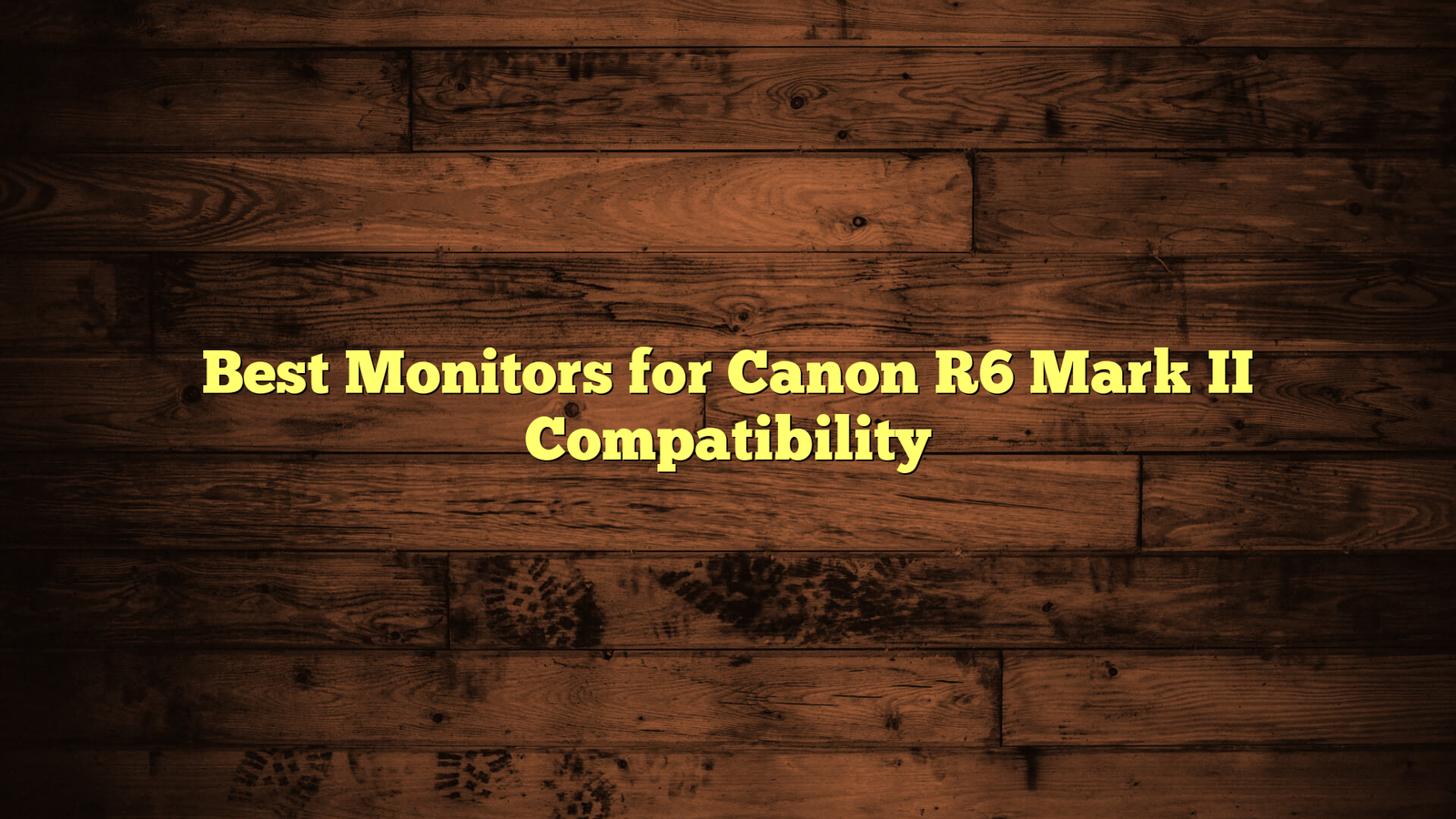 Best Monitors for Canon R6 Mark II Compatibility