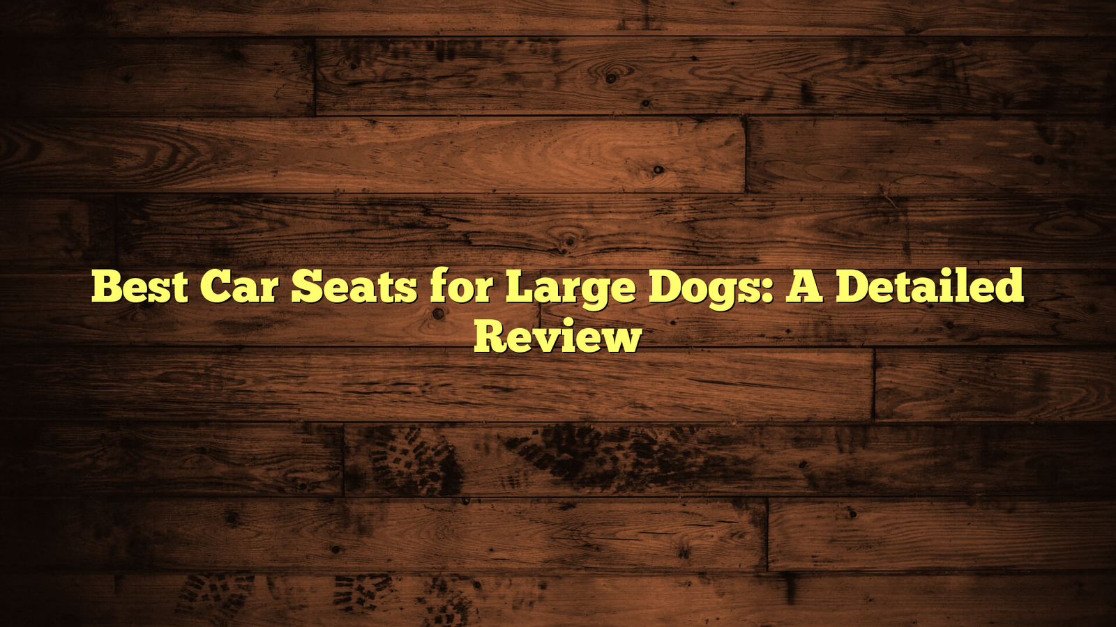 Best Car Seats for Large Dogs: A Detailed Review
