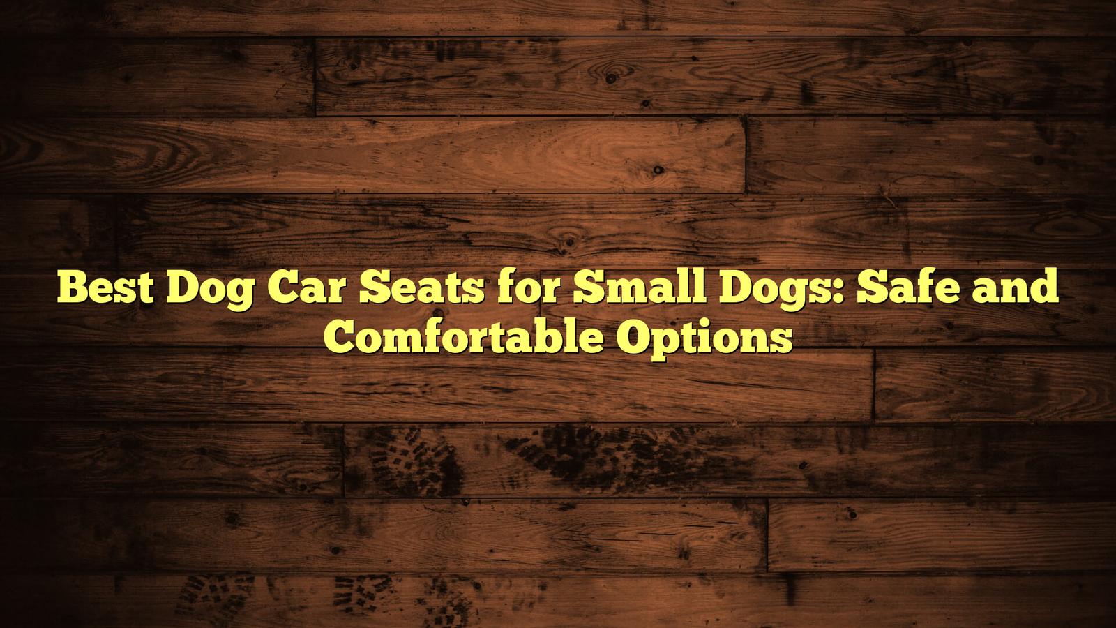 Best Dog Car Seats for Small Dogs: Safe and Comfortable Options
