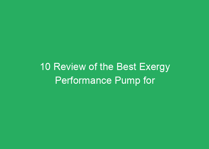 10 Review of the Best Exergy Performance Pump for Efficiency and Reliability