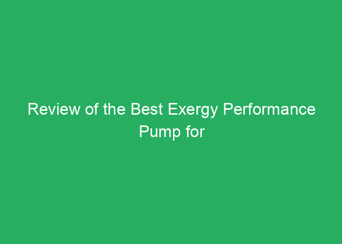 Review of the Best Exergy Performance Pump for Efficiency and Reliability