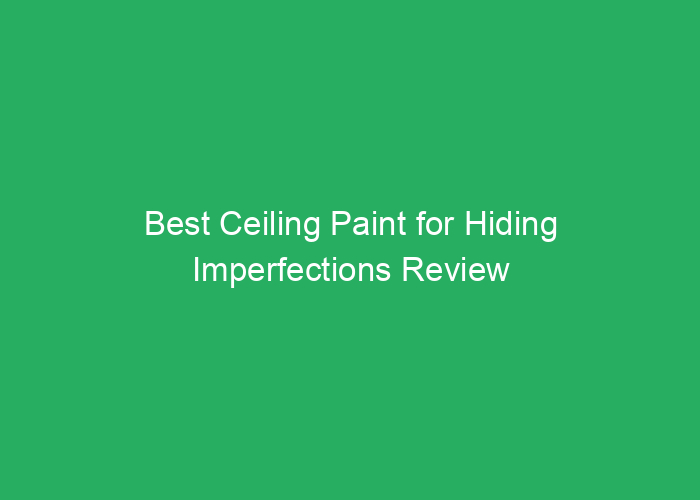 Best Ceiling Paint for Hiding Imperfections Review