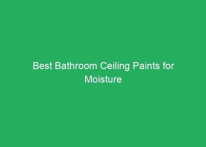 Best Bathroom Ceiling Paints for Moisture Resistance and Durability