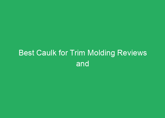 Best Caulk for Trim Molding Reviews and Recommendations