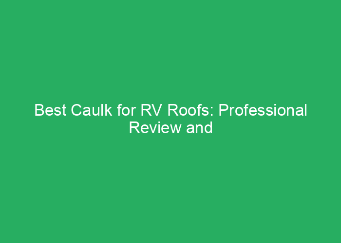 Best Caulk for RV Roofs: Professional Review and Recommendations