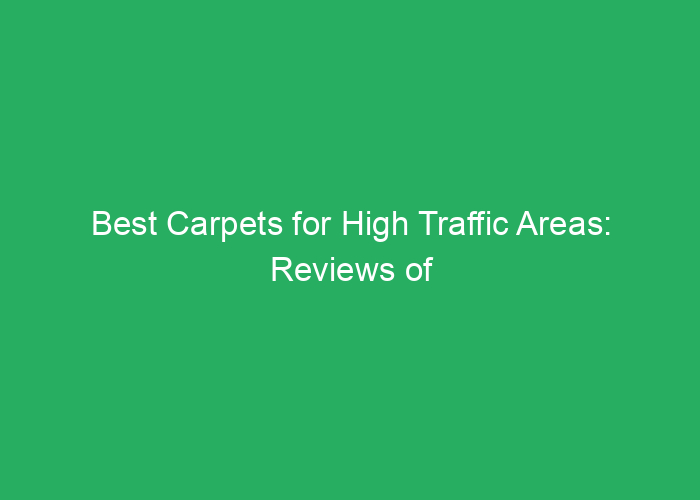 Best Carpets for High Traffic Areas: Reviews of Durable Options