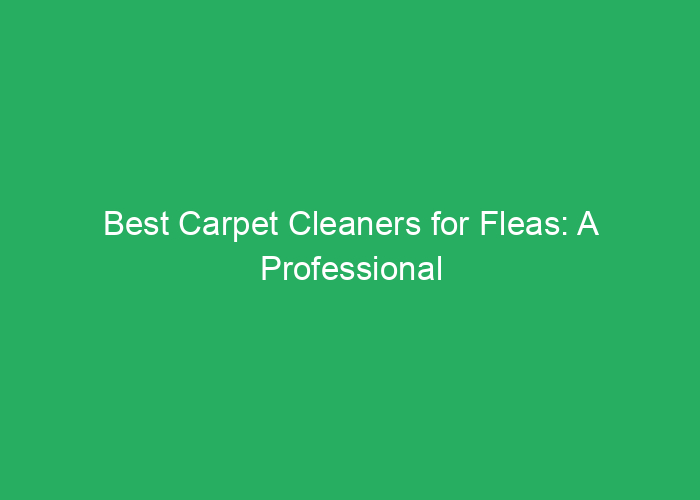 Best Carpet Cleaners for Fleas: A Professional Review