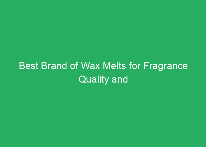 Best Brand of Wax Melts for Fragrance Quality and Value