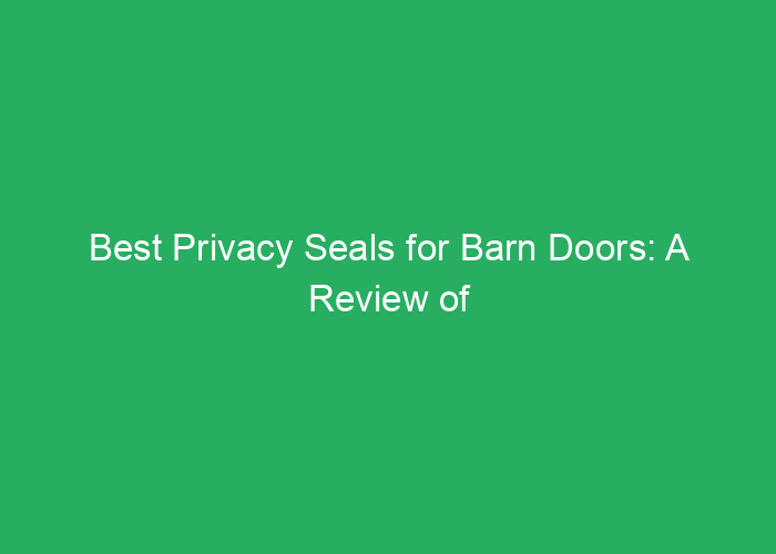Best Privacy Seals for Barn Doors: A Review of Top Choices