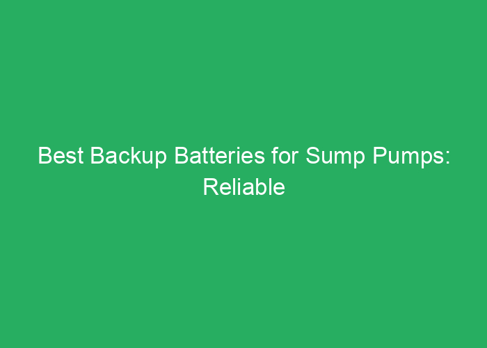 Best Backup Batteries for Sump Pumps: Reliable Power Solutions
