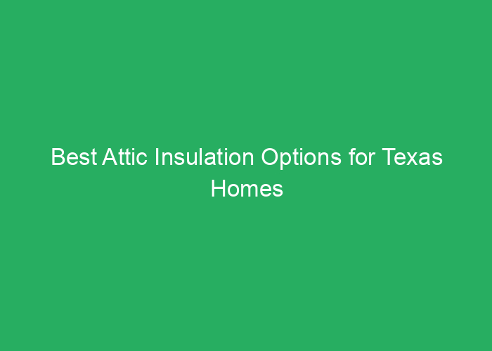 Best Attic Insulation Options for Texas Homes