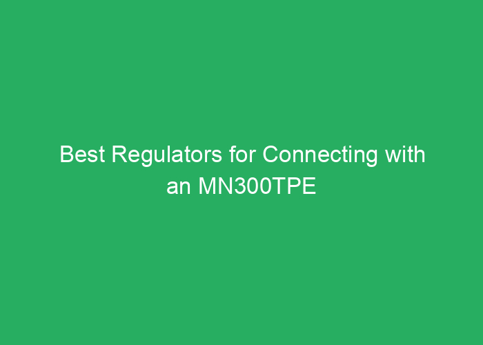 Best Regulators for Connecting with an MN300TPE Heater