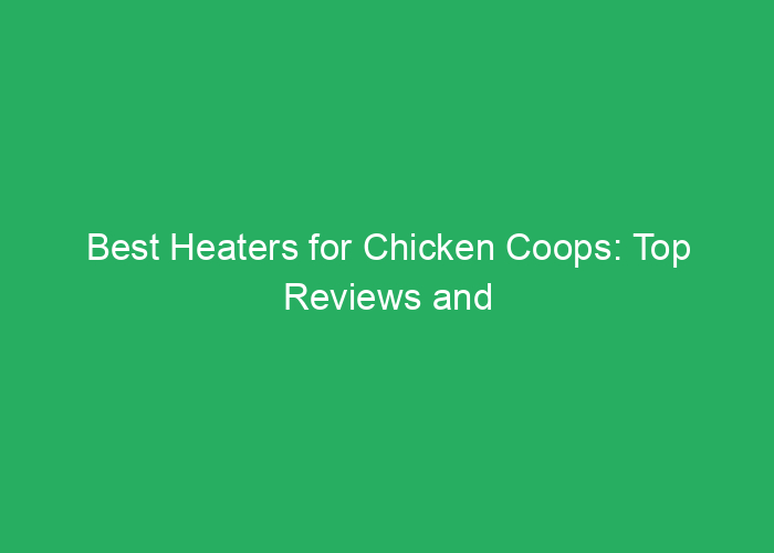 Best Heaters for Chicken Coops: Top Reviews and Buying Guide
