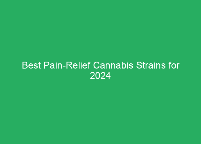 Best Pain-Relief Cannabis Strains for 2024