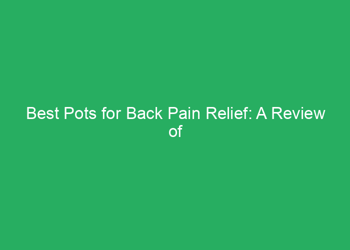Best Pots for Back Pain Relief: A Review of Comfortable and Supportive Options