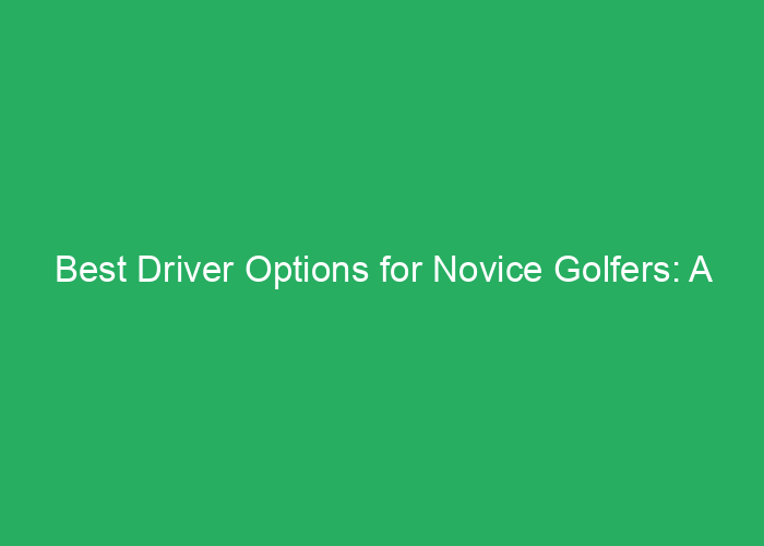 Best Driver Options for Novice Golfers: A Professional Review