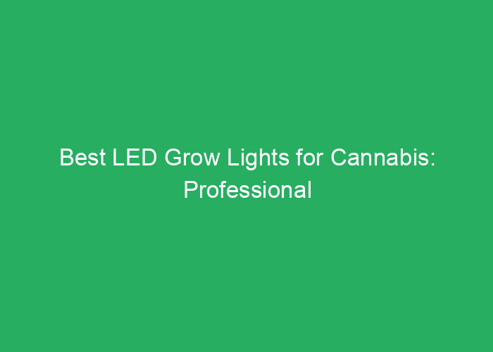 Best LED Grow Lights for Cannabis: Professional Review and Recommendations